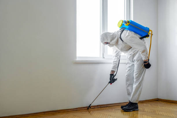 Professional Pest Control in Satellite Beach, FL